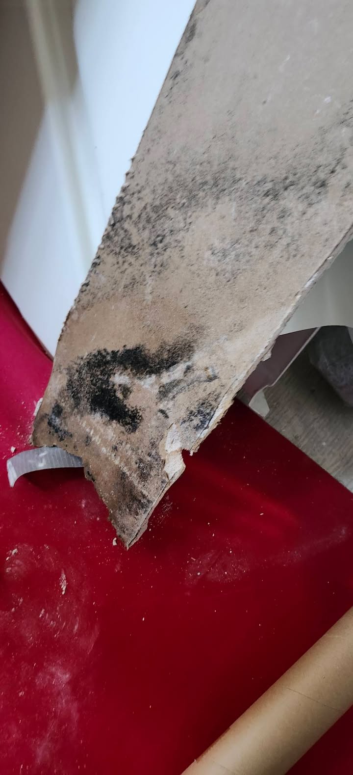 One ends and another begins - Image 3