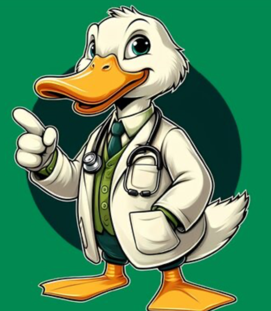 Nic’s D.U.C.T Works Inc