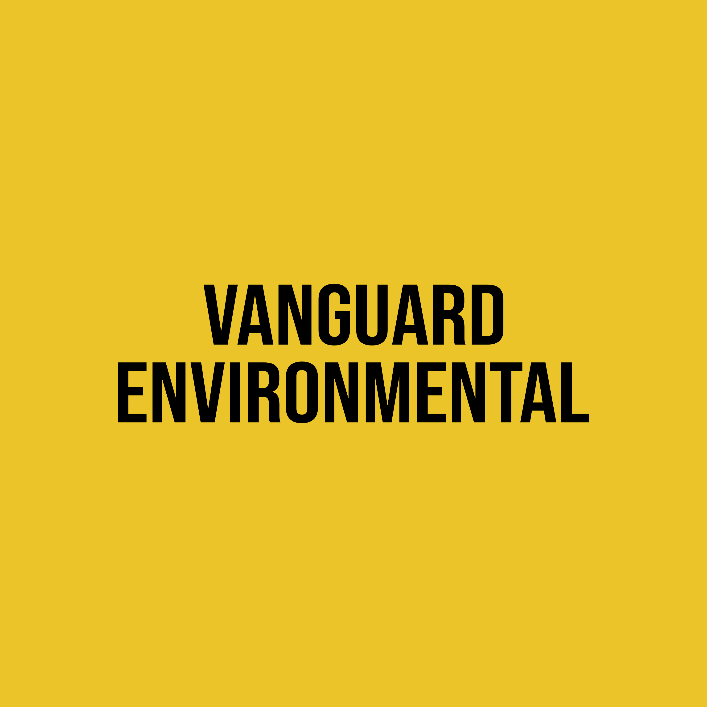 Vanguard Environmental