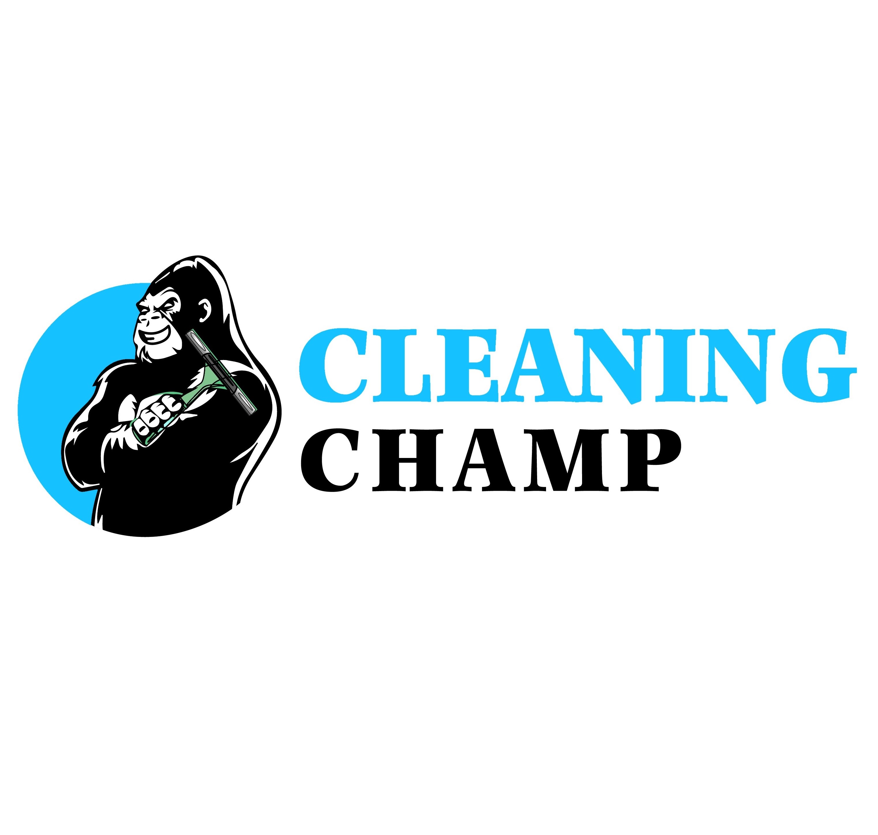 Cleaning Champ Window Cleaning