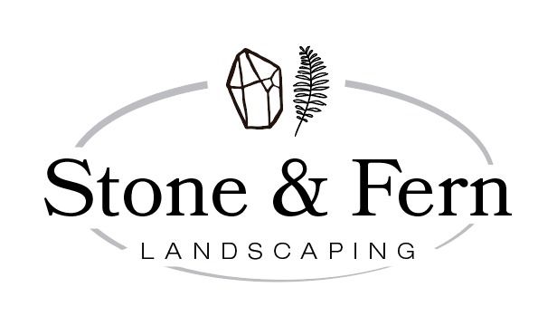 Stone and fern