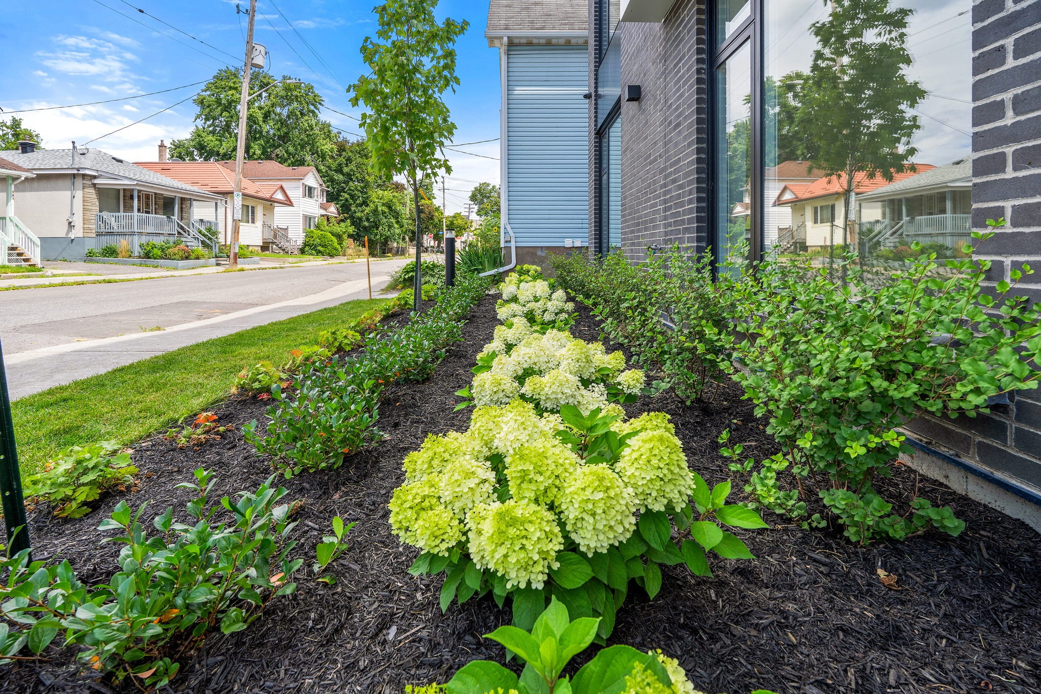 Upgrade Renos and Landsca photo 5