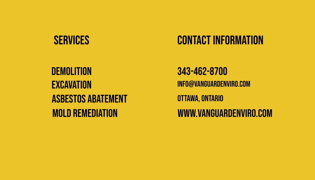 Vanguard Environmental photo 2