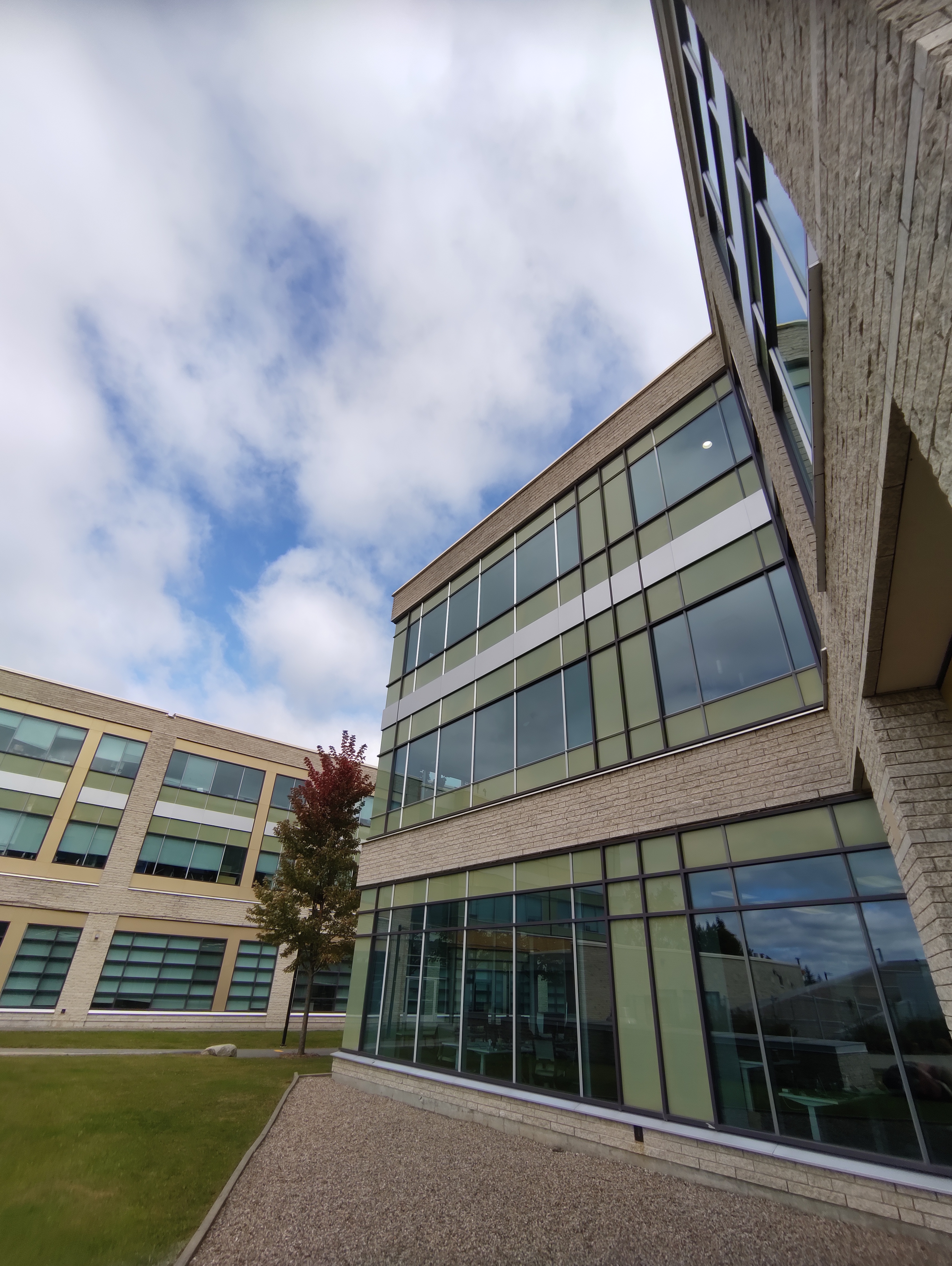 CSS Window Films photo 2