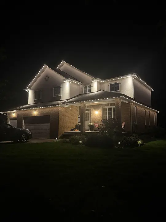 Wise Outdoor Lighting photo 3