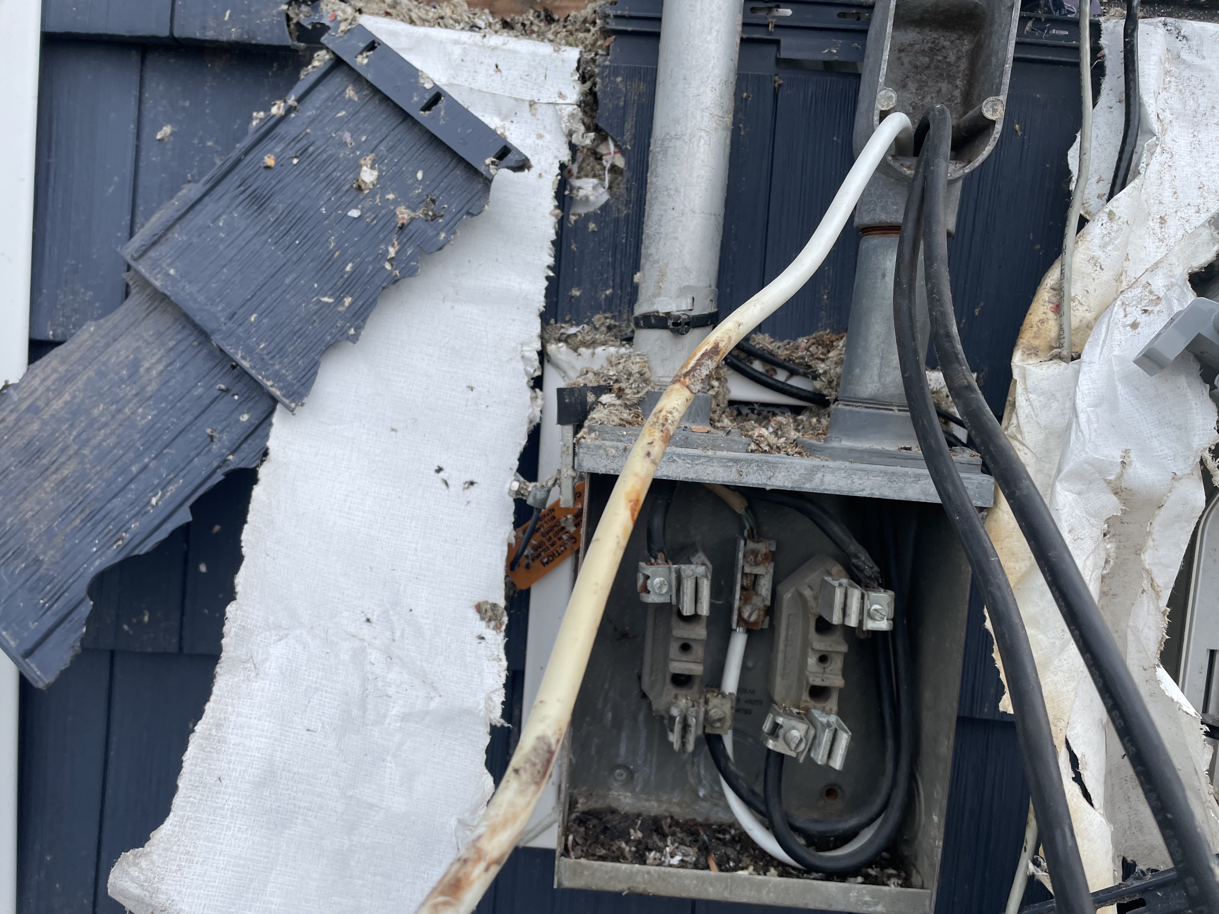 Capital Electrical Solutions photo 1