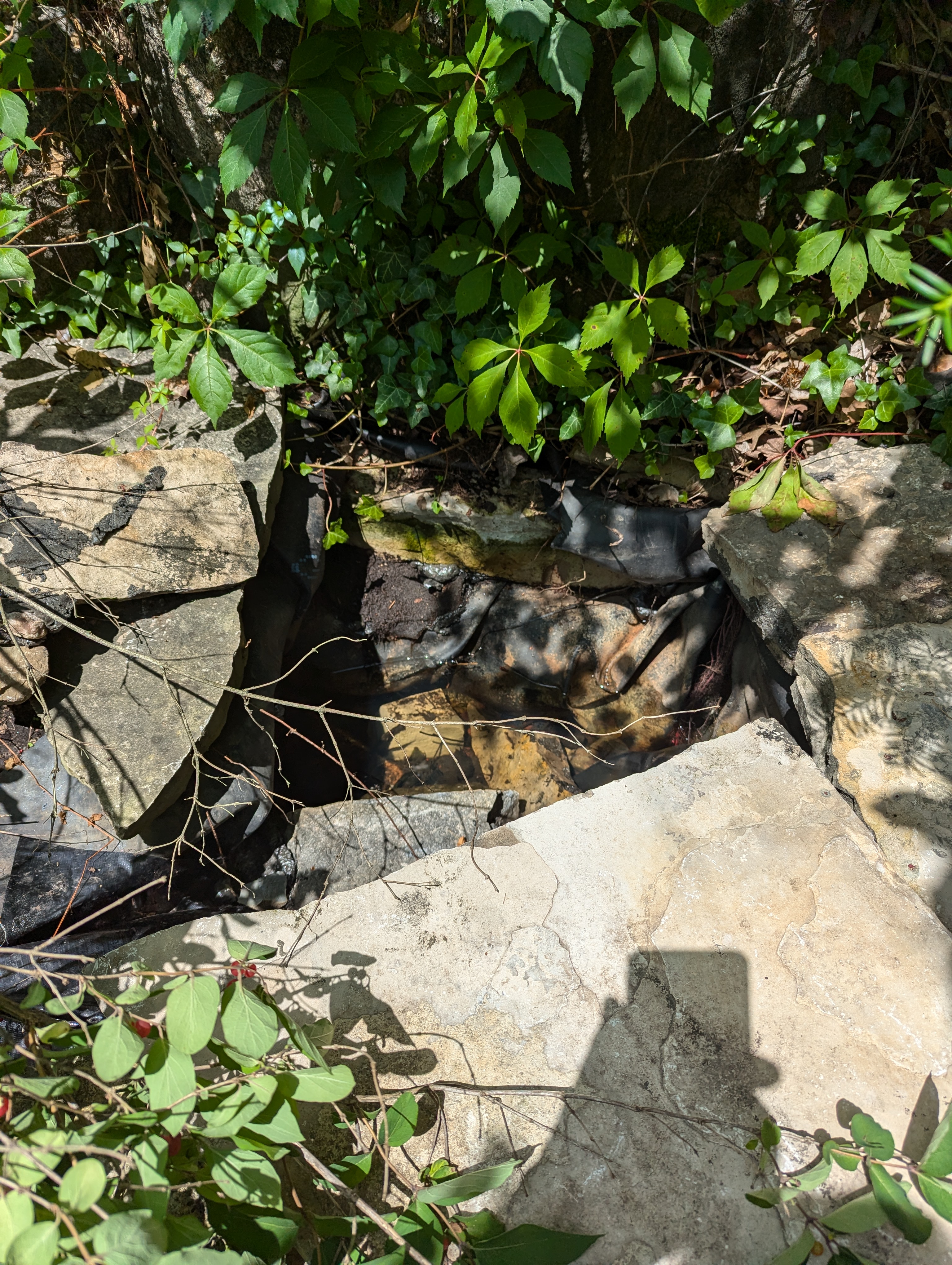 Xata Remodeling Art Design photo 1