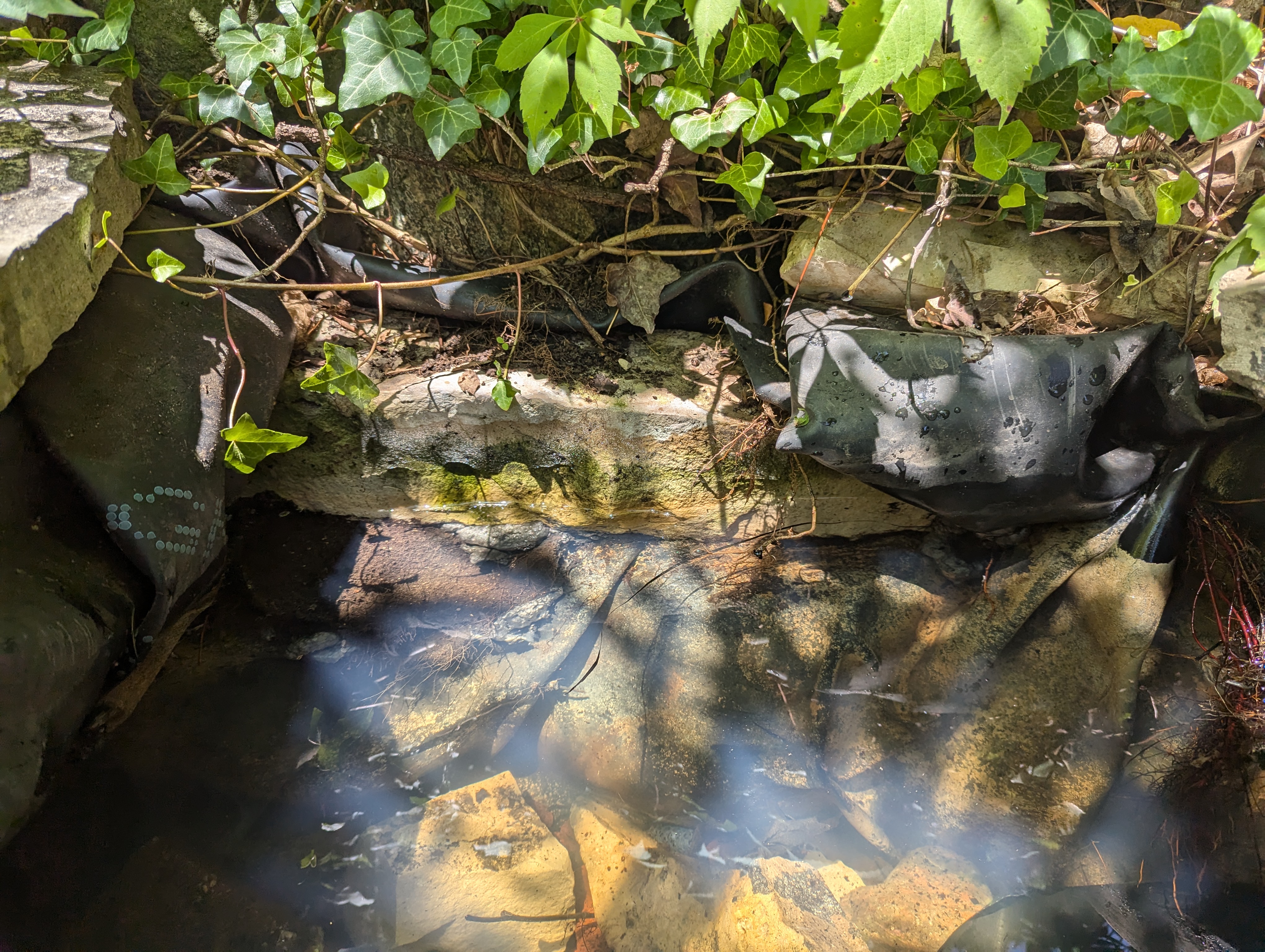 Xata Remodeling Art Design photo 4