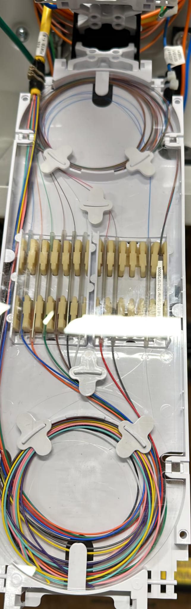 Alphian Inc. photo 3