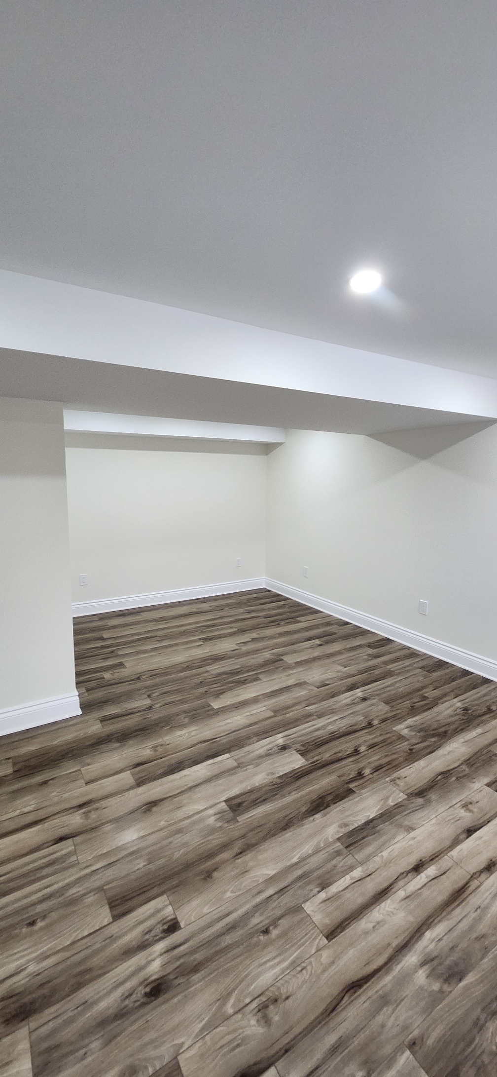 Basement finishing in Manotick - after photo 4